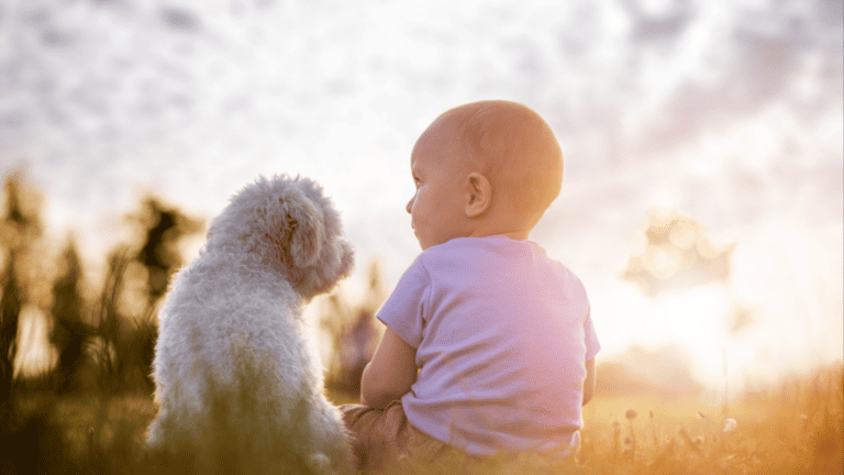19 Dog Breeds That Are Great with Babies